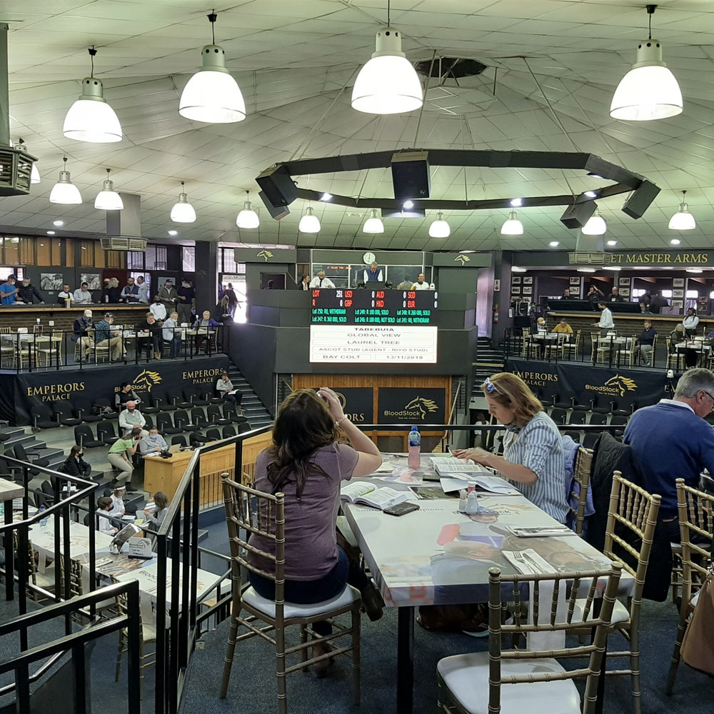 audio visual equipment rentals