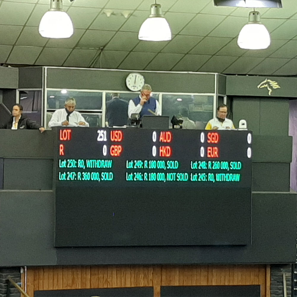 audio visual equipment rentals