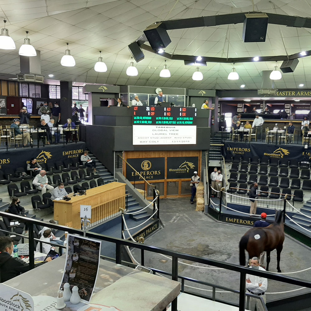 audio visual equipment rentals